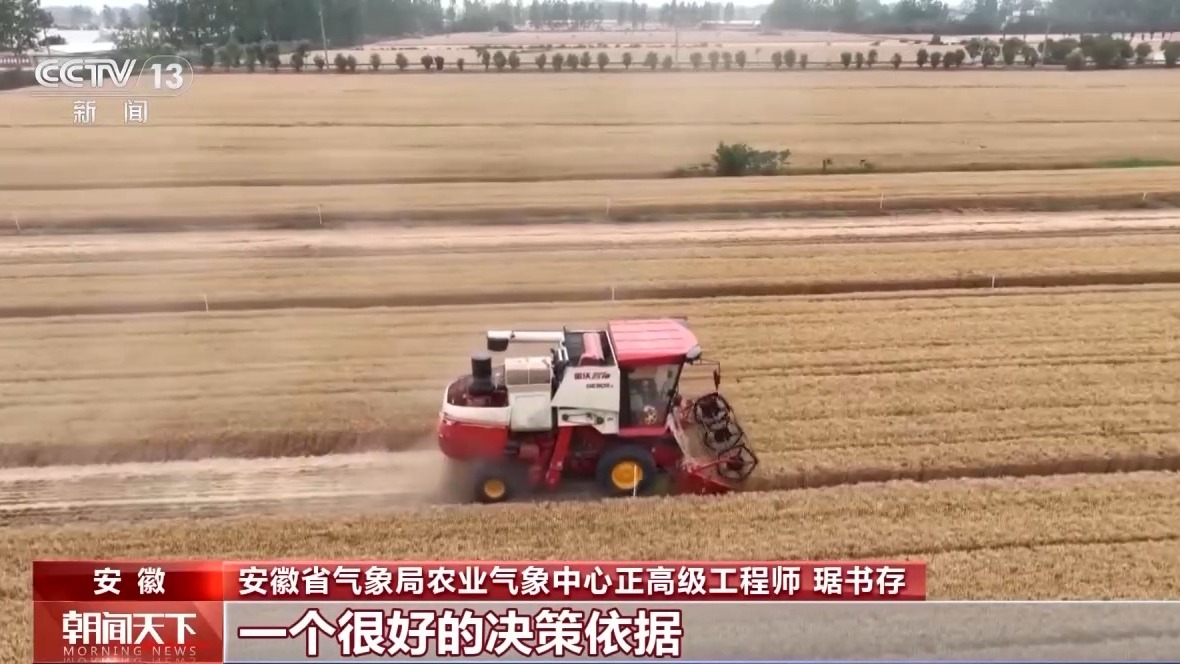 气象预报加上数字化监测 小麦“颗粒归仓”有了“最强大脑”